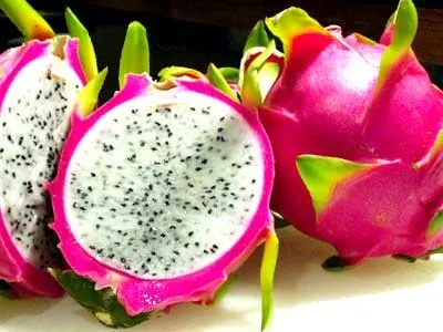 
Vietnamese Fresh Dragon Fruit/ Good Red Dragon 