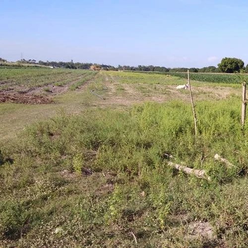 
Piece of Land for sale in the Philippines 