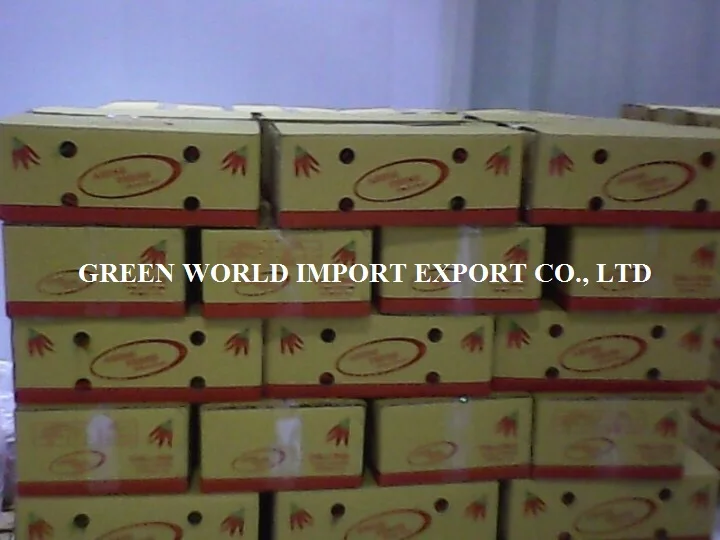 TOP cheap price FROM VIETNAM: BEAUTIFUL FROZEN GREEN CHILLI: HOT AND NATURAL SPICY, BEST FOR SPICY FOOD