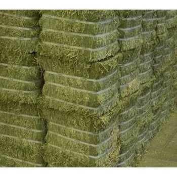 fresh alfalfa hay bales for sale