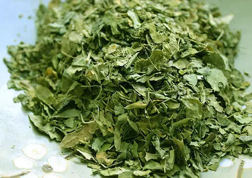 
Moringa dried leaves/moringa leaves/Horseradish treein Viet Nam 