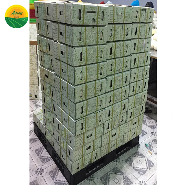 SWEET - HIGH QUALITY COCONUT FROM VIET NAM