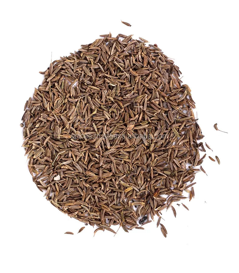 Caraway seeds - Carum carvi - Poland