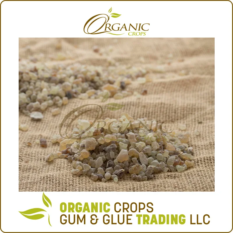
Best Quality Frankincense Gum Olibanum gum Luban 
