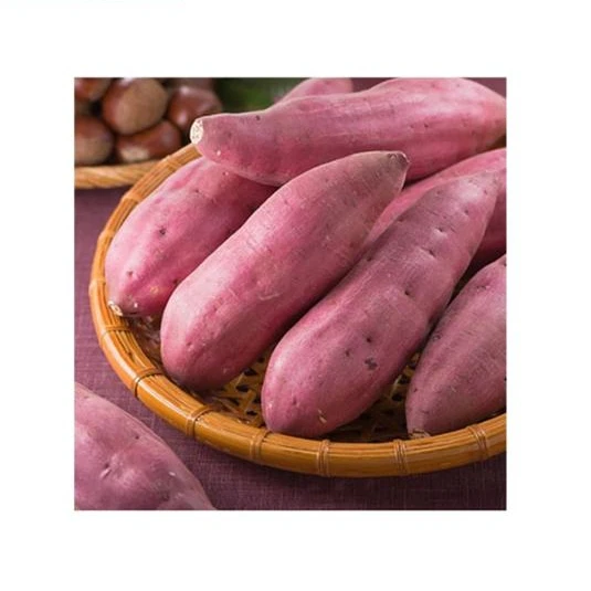 Сладкий картофель по низкой цене/BATATA /YAM (WHATSAPP +
