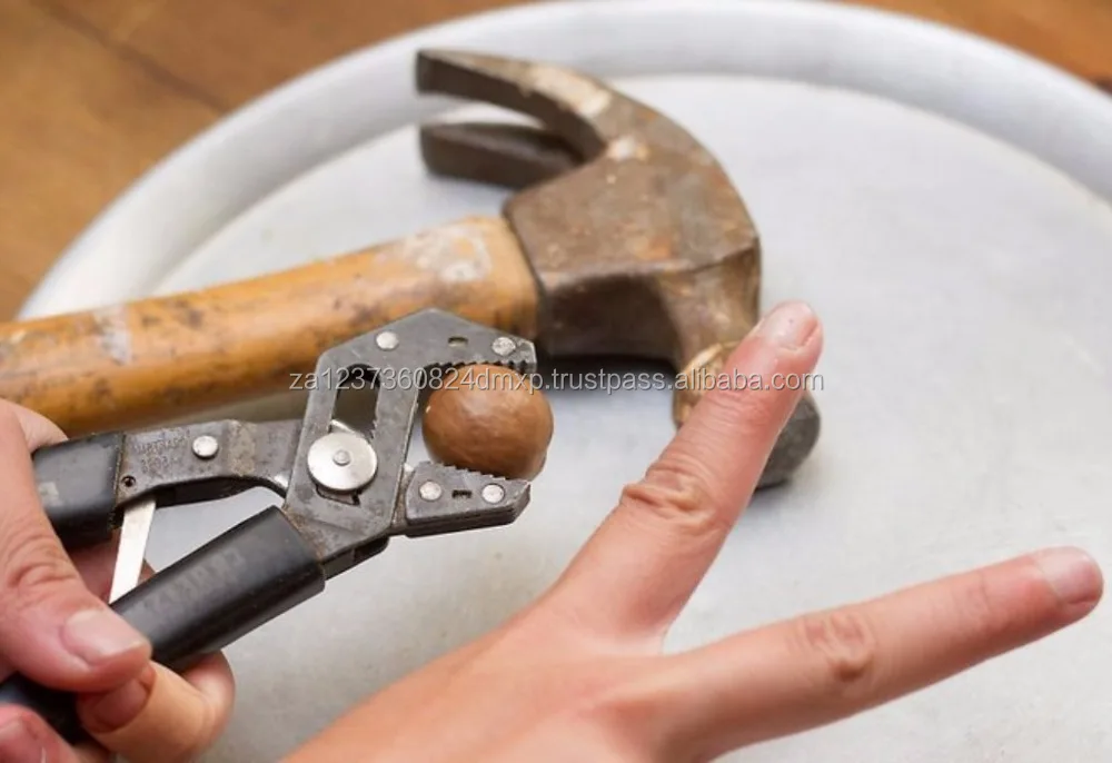 
QUALITY GRADE AAA MACADAMIA NUTS WITH GREAT TASTE 