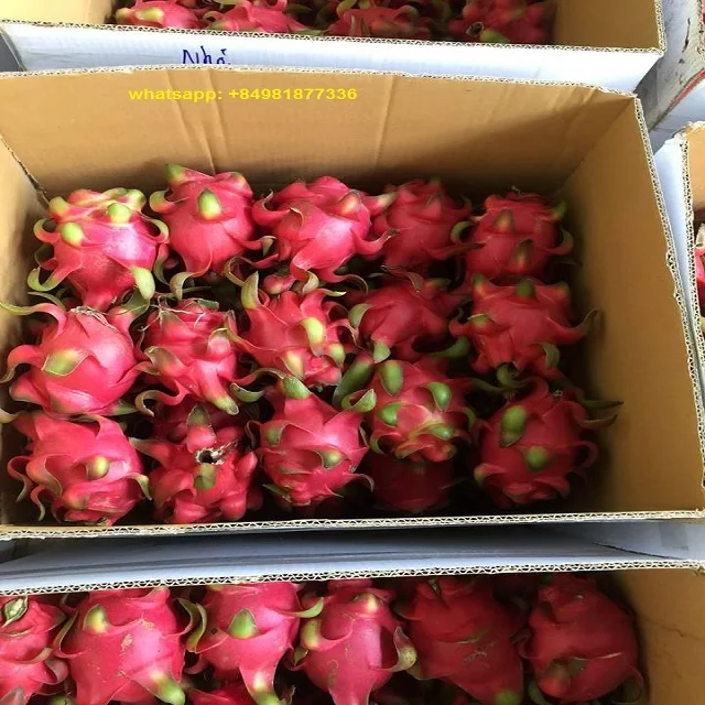 Свежие фрукты RED DRAGON, высокое качество