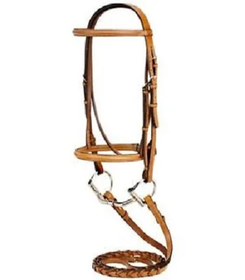 horse riding equipment/horse bridle
