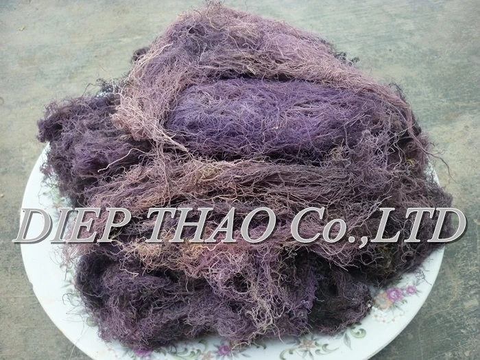 Gracilaria seaweed white color use food human lowest moisture of diep thao company