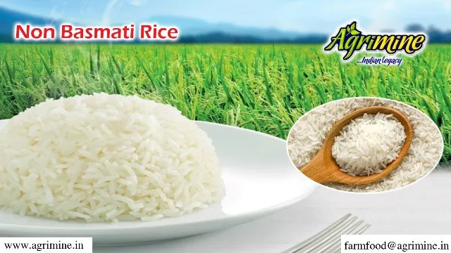 100% BROKEN WHITE SONA MASOORI HIGH QUALITY PARBOILED RICE SUPPLIER AND EXPORTER FROM INDIA
