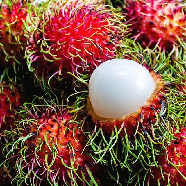 Замороженный rambutan по лучшей цене 2022