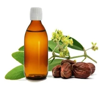 Jojoba Oil in Bulk for Sale