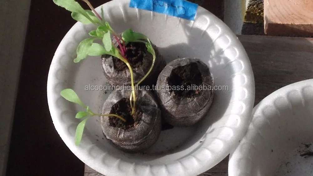 coir plug as soil substrate