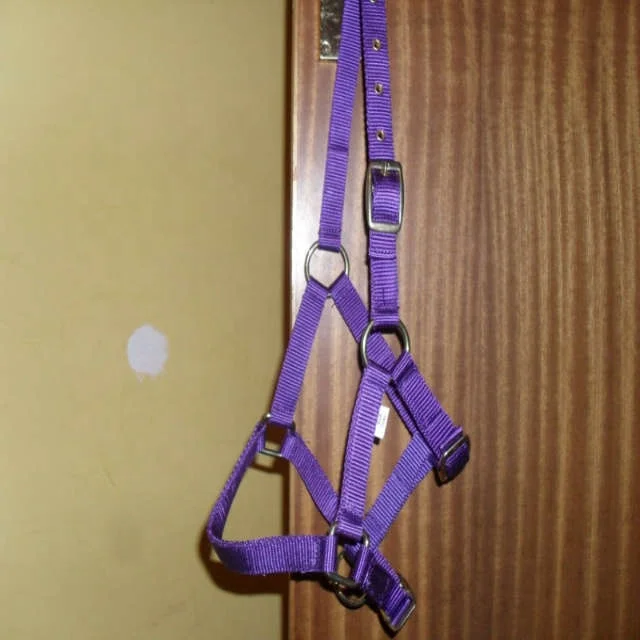 Wholesale High Quality Horse nylon halter 2018  Hot selling Unique Horse nylon halter for horses Pp Tape Nylon Halter