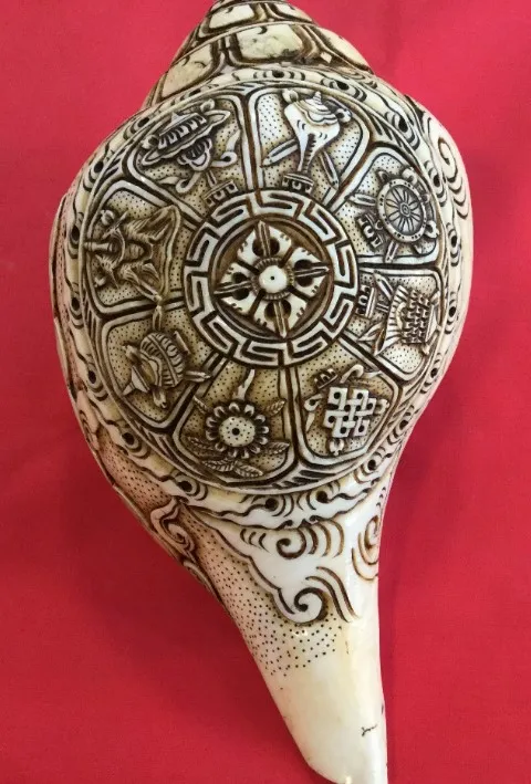 8 Lucky Auspicious Signs Carved Conch Shell