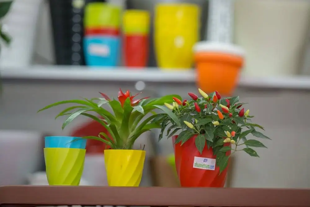 wholesale small plant pot for decord indoor and out door