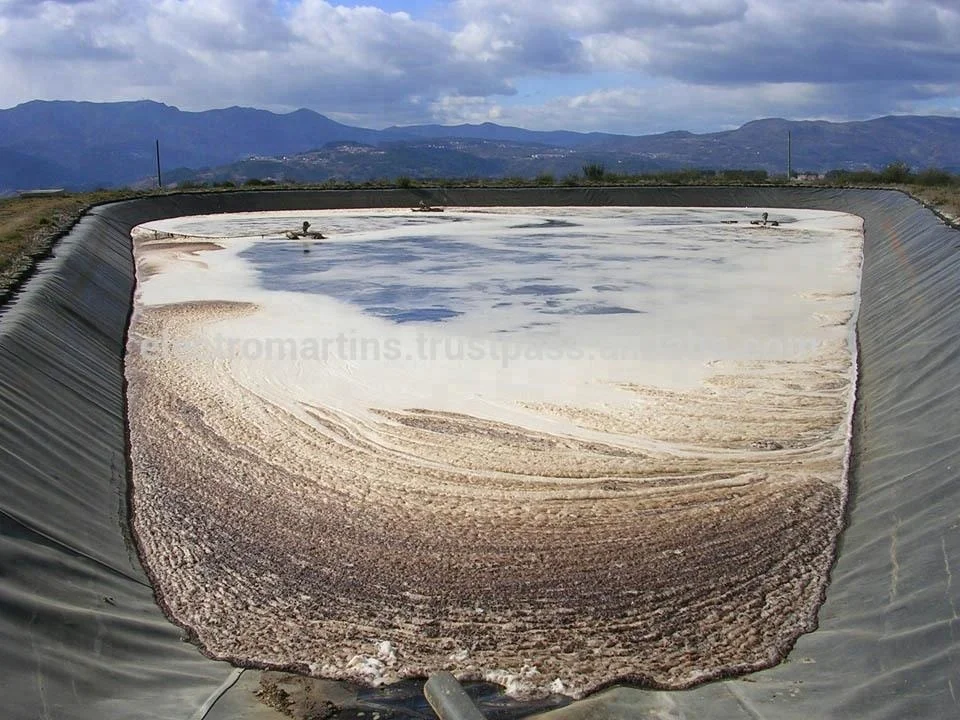 Органический дигестор-биологическая очистка сточных вод (нехимический)