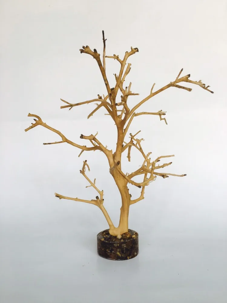 Wholesale Aquarium Polyresin Coral Ornament Fish Accessories Decorations Box Logo Tank Packing Balance Hotel Feature Eco Brown