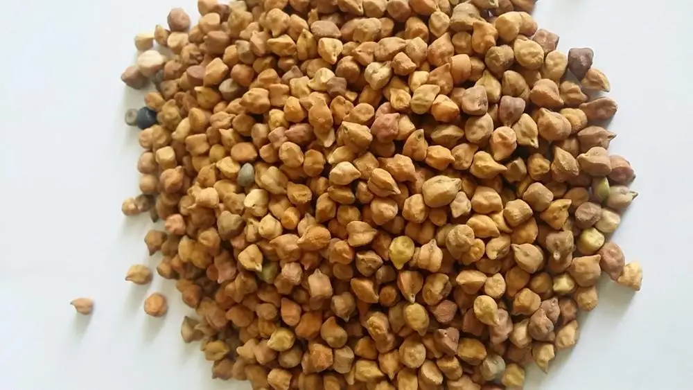 
CHANA FROM NIK-MAY EXPORTS LLP INDIA 
