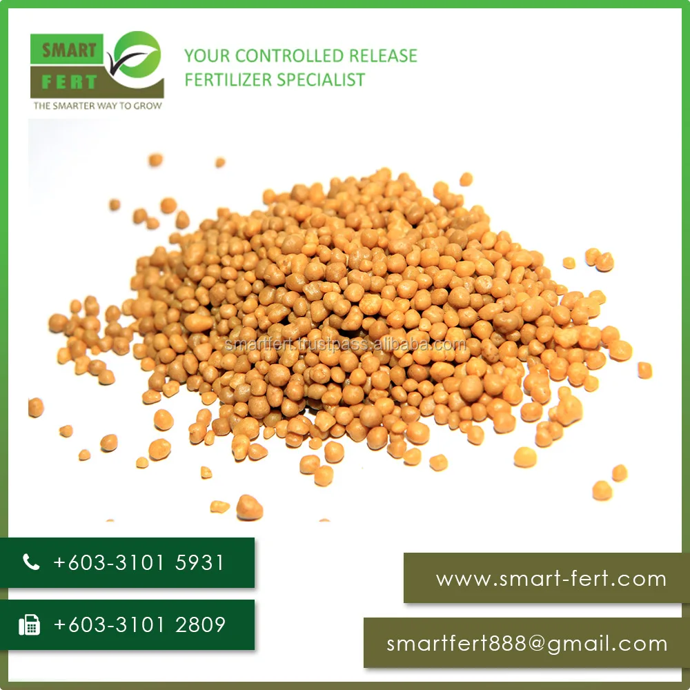 Smartgro Controlled Release Fertilizer Manufacturer Direct 14-14-14+TE Compound Fertilizer NPK Granular 66455-26-3 52136-45 100%