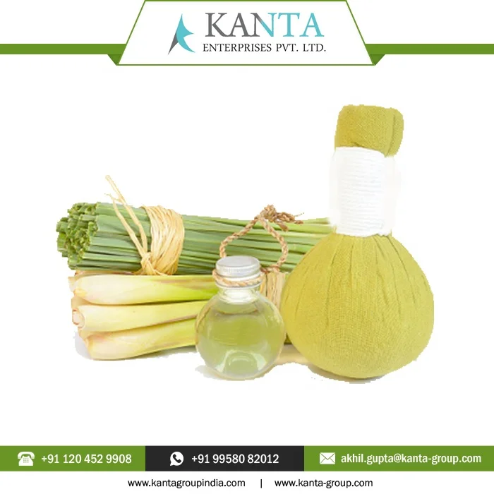 Factory Supply Pure Citronella Java Oil For Health Care available bulk at Affordable Price in India