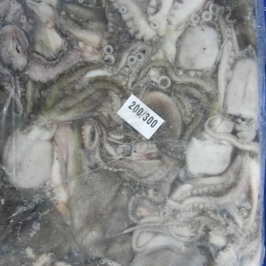 
octopus whole and cleaned 