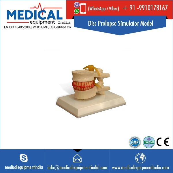 Dentist Training Teaching with Jaw Head Model Dental Phantom Manikin Simulator Typodont