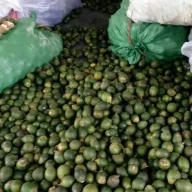 Органическая дешевая бетовая гайка/SUPARI/ ARECA из Вьетнама