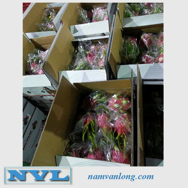 Фрукт дракона лучшего качества по самой низкой цене.