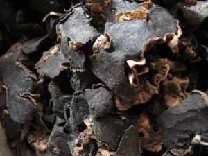 
Dried Sliced Black Ginger SOPHIE WHATSAPP +84-845-639-639 