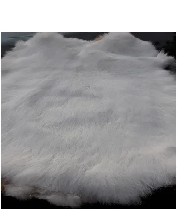 Rabbit Fur Natural White Color Sizes 30 cm Up For Garments / Decoration