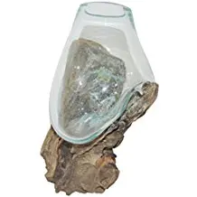 TEAK ROOT STAND WITH GLASS BOWL