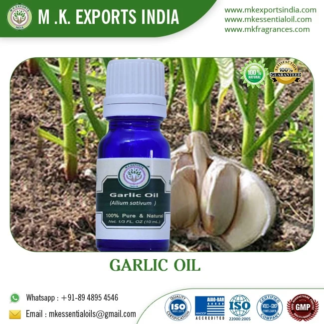 100% Pure Garlic Extract Essential Oil Food Grade Liquid Solvent Extracted Utilizing Seed Shell Parts Presented in a Bottle
