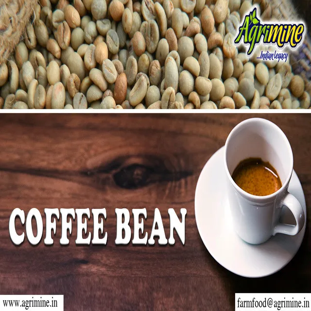 Продавец кофейных зерен ROBUSTA