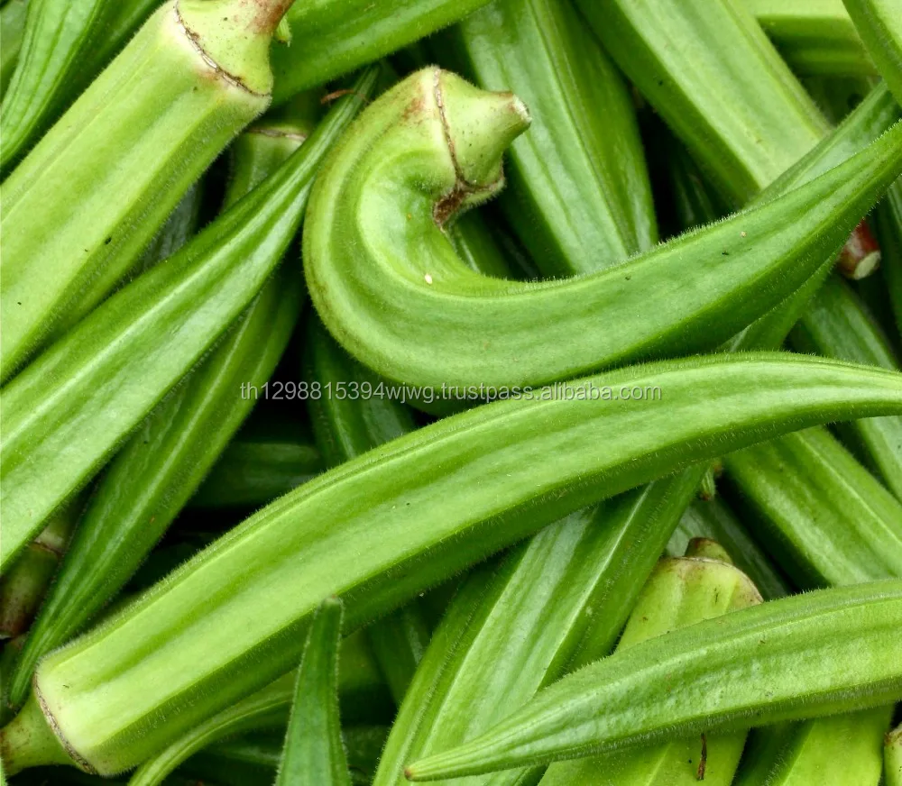 GOOD Top Grade IQF vegetables Frozen Baby Okra