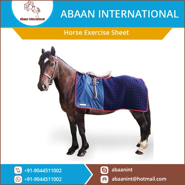 Best Selling Horse Exercise Sheet at Reasonable Rate
