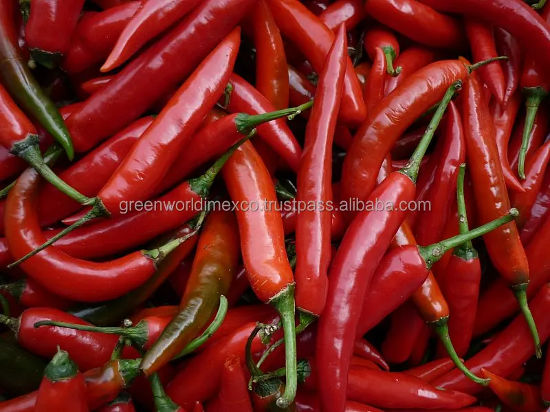 HOT PRICE WITH FRESH CHILLI  FOR GOLD QUALITY FROM VIET NAM
