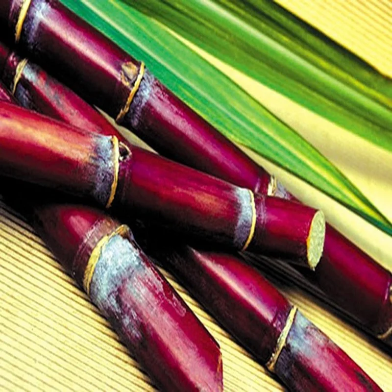 The Highest Quality Materials Sugarcane Molasses (Brix Min 75%) With Feed Grade 21MT Flexitank And Factory Price