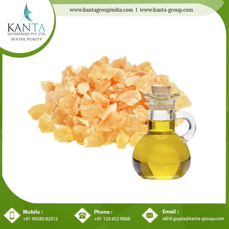 Standard Quality Aromatherapy Properties Frankincense Oil at Wholesale Price from Indian Supplier