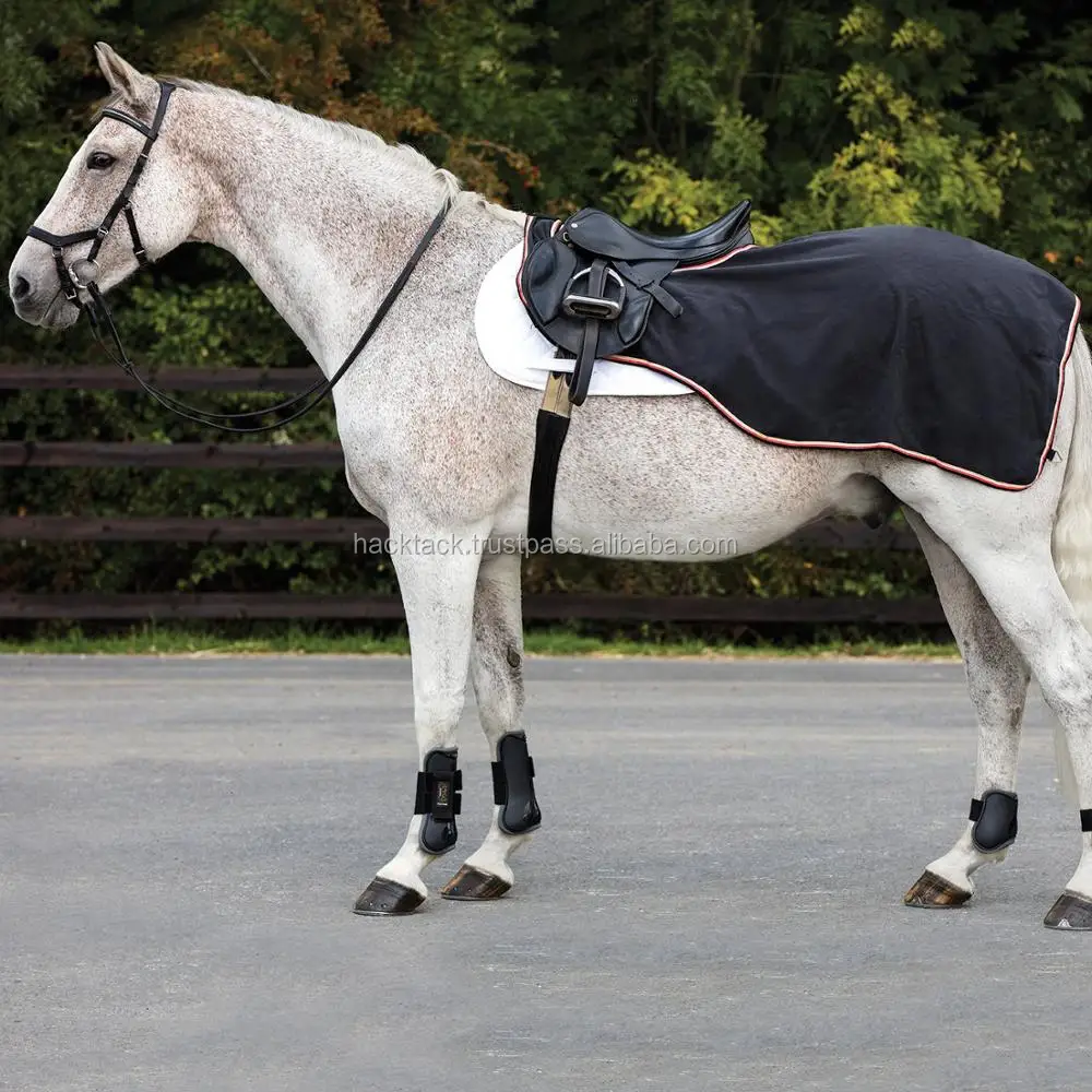 Equisafety Hi Viz Winter Wraparound Exercise Horse Quater Riding On Sheet Rug