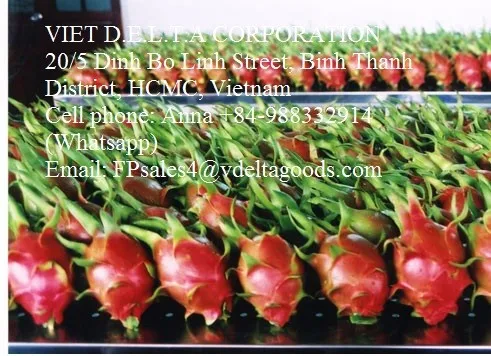 
Vietnamese Fresh Dragon Fruit/ Good Red Dragon 