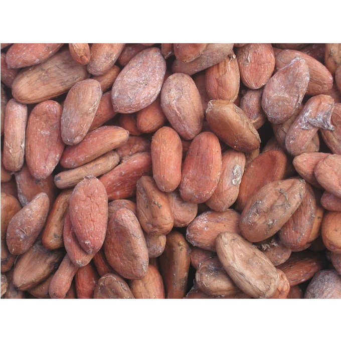 Питательные вещества, способствующие натуральному цейлонскому криоло, какао бобы (62007776444)