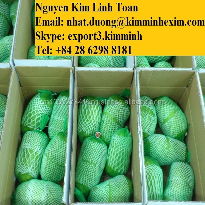Grade A Fresh Green Graviola Fruit With Cheap Price