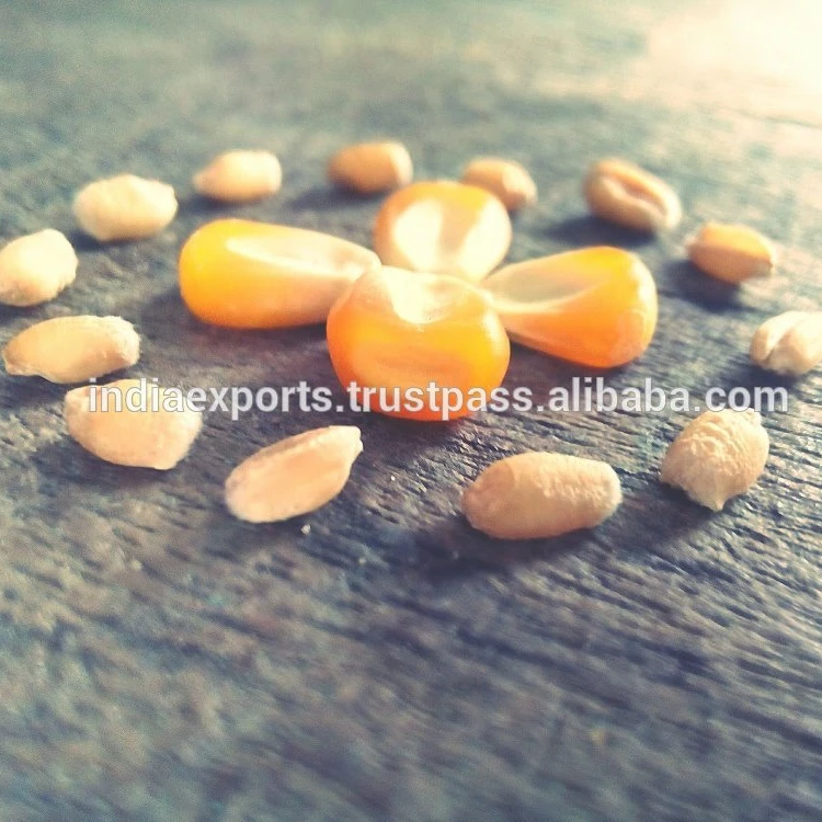 Желтая Кукуруза хорошего качества для продажи