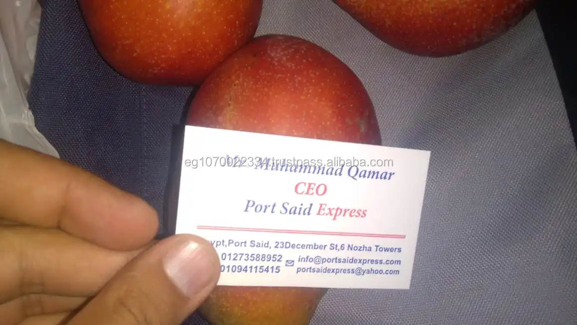 fresh mango fruit ready to export to China