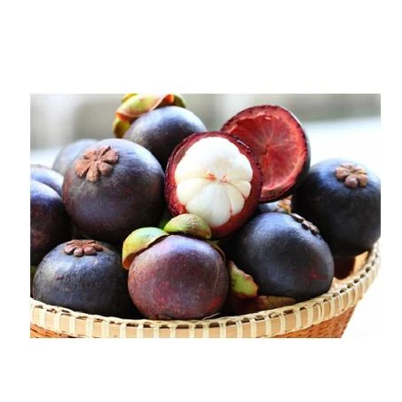 
OGRANIC MANGOSTEEN FRUIT/FRESH DELICIOUS IN VIET NAM 2020/Whatsapp +84 845 639 639 