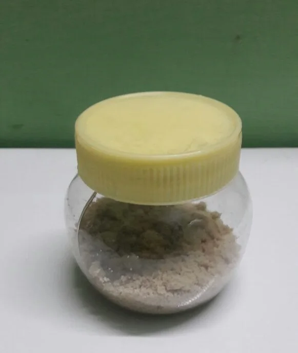 
PIRANDAI SALT - (Adamant creeper) - Cissus quadrangularis 