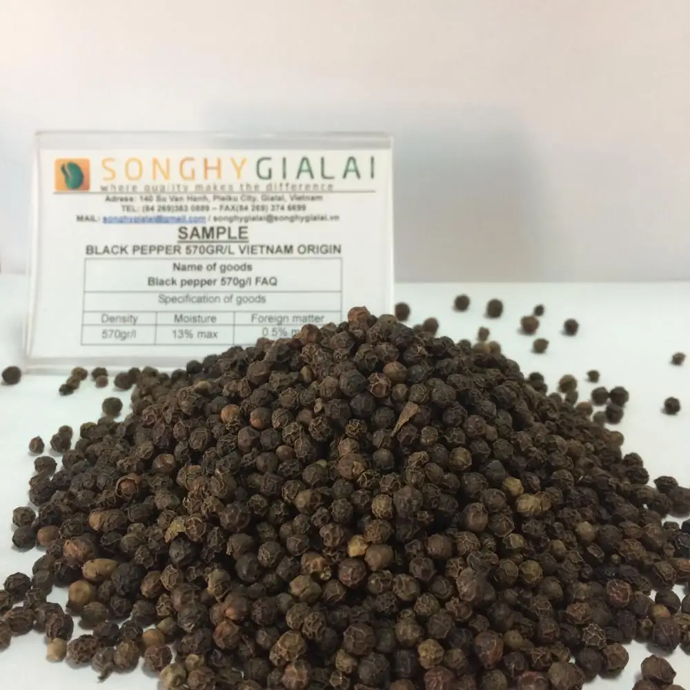 VIETNAM BLACK PEPPER BEST PRICE - BEST QUALITY  FROM FACTORY SONG HY GIA LAI CO., LTD