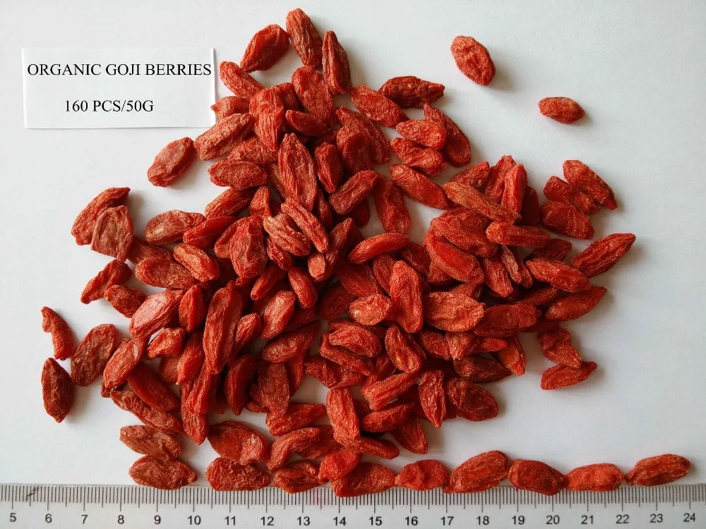New crops Ningxia organic goji berries wholesale