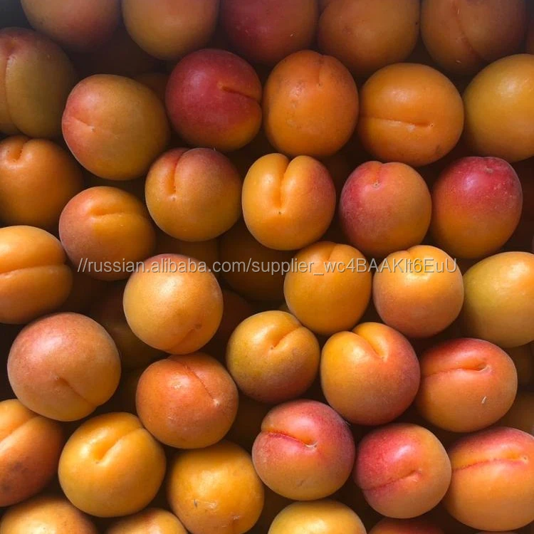 
Свежие абрикосы греческого происхождения абрикосы 